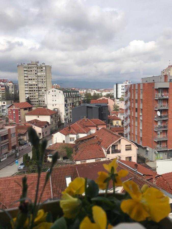 Belvedere Nisz Zewnętrze zdjęcie